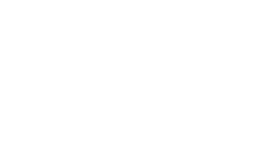 leading-supplier